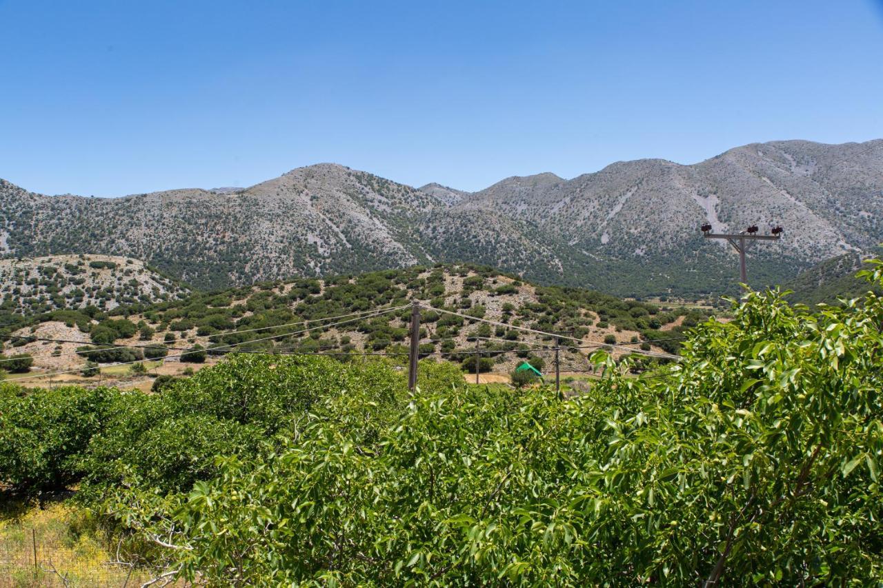 Villa Skyphos Ammoudari Екстериор снимка